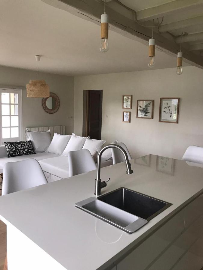 Ambiance Seine - Appartement 46M2 Terrasse - Hortensia Thomery Kültér fotó